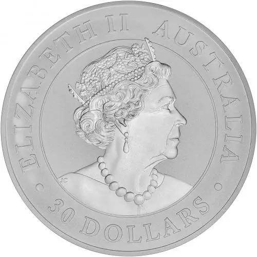 2020 Koala 1 Kg Silver Perth Mint Bullion Coin obverse