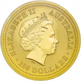 2007 Gold Bullion Ungraded 1 Ounce Lunar Year of the Pig Coloured Coin Single Australia Perth Mint Obverse