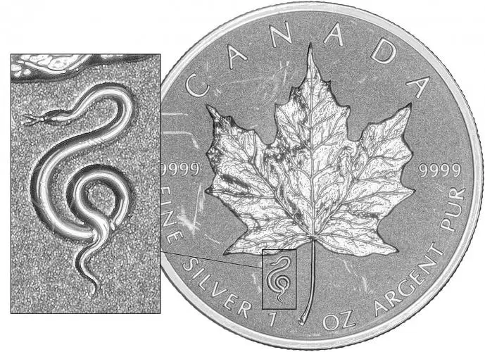 2013 Silver Reverse Proof 1 Ounce Maple Snake Privy Mark  Coin Single Canada Royal Canadian Mint snake privy mark