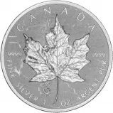 2013 1 oz Silver Maple Reverse Proof Coin - Snake Privy Mark