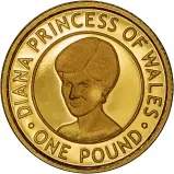 2007 Jersey Gold Proof £1 Princess Diana Coin