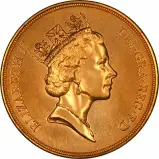 1985 Gold Five Pound Coin Quintuple Sovereign Proof Elizabeth II Obverse
