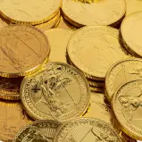 Best value Britannia 1 oz Britannia Gold Coin - Minty cropped chards image