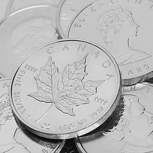 1 oz Canadian Silver Maple Coins - Minty crop image designs