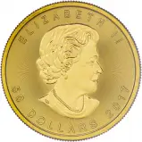 2017 Gold Uncirculated 1 Ounce Maple Coin Single Minty Canada Royal Canadian Mint Obverse