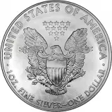 2013 1 oz Silver Coin Eagle Bullion