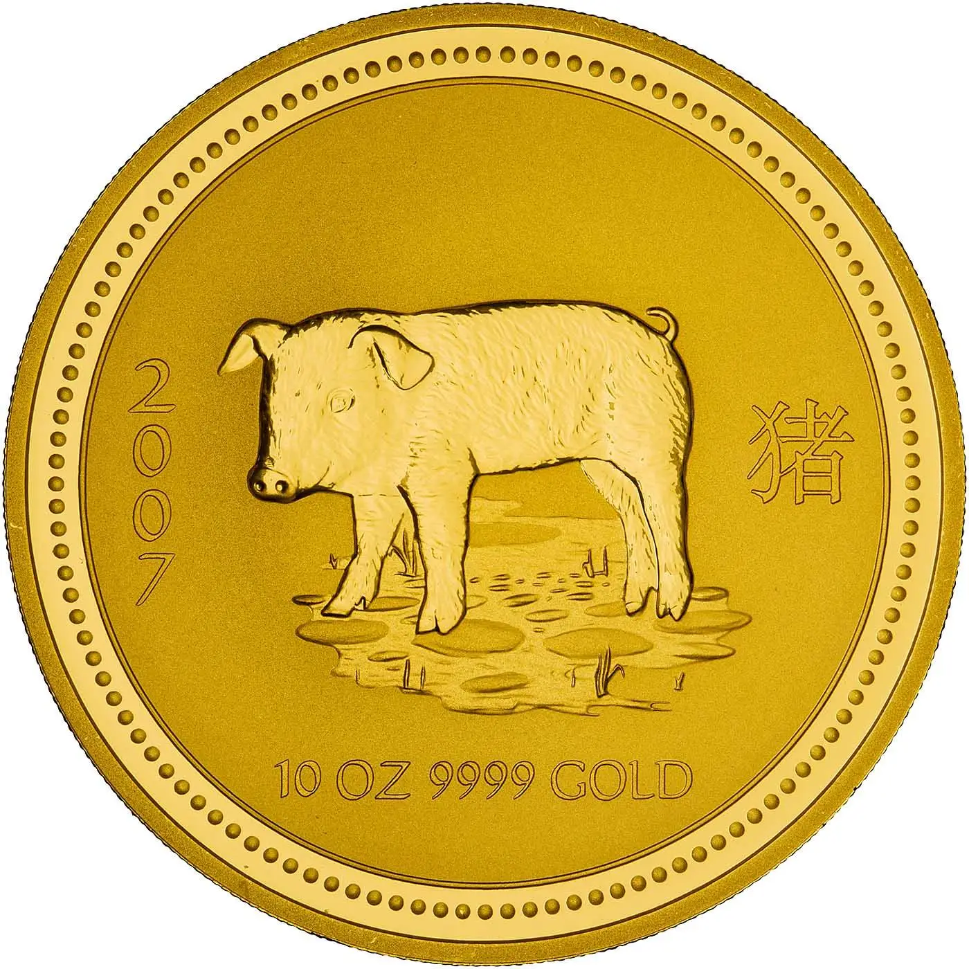 2007 Year of the Pig 10 oz Gold Coin | Chards