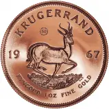2017 BU Gold Krugerrand 1967 Coin Restrike - 50th Anniversary Privy Mark reverse crop image chards