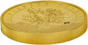 2016 2 oz Gold Proof High Relief Kimberley Sunrise Coin side and front view