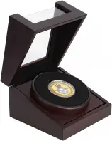 2018 Gold Proof Royal Air Force £10  Coin Presentation Case with Cert Guernsey side view