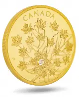 2018 Gold Proof Magnificent Maple Coin reverse side view