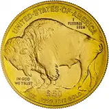 2020 Gold Bullion 1 Ounce Buffalo Coin United States of America