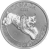 2017 Canadian Lynx 1 oz Silver Bullion Coin - Pre-Owned