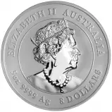 2022 Year of the Tiger Perth Mint Lunar 5 oz Silver Bullion Coin obverse chards image crop