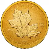 2019 Gold Proof 0.25 Ounce Maple Coin Royal Canadian Mint 2