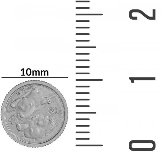 2022 Platinum Bullion Ungraded 1 Gram Panda Coin Single China People's Bank of China size guide