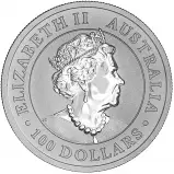 2020 Kangaroo 1 oz Platinum Perth Mint Bullion Coin obverse image crop