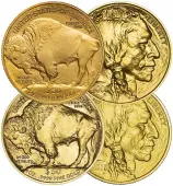 Gold Buffalo 1 oz Bullion Coin Our Choice - Minty