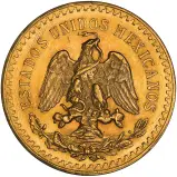 1929 Gold Bullion Mexican Peso 50 Pesos  Coin Single Mexico Mexico City Mint obverse