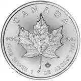 2023 Canadian Maple Leaf 1 oz Silver Bullion Coin - Pre-Owned