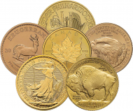 洋書 GOLD COINS of the WORLD 81zlY6txc+L._UF1000,1000_QL80_.jpg
