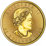 2022 Gold Bullion 0.5 Ounce Maple Coin obverse
