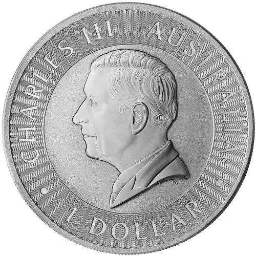 2024 Kangaroo 1 oz Silver Australian Bullion Coin obverse chards image crop