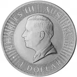 2024 Kangaroo 1 oz Silver Australian Bullion Coin obverse chards image crop