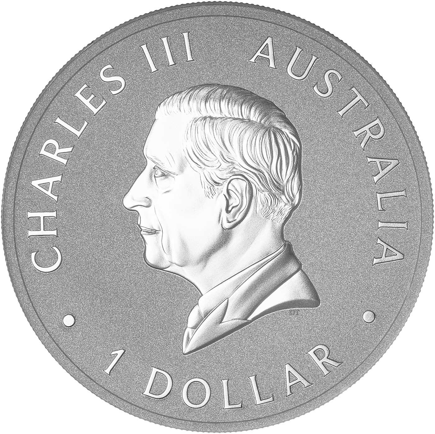2024 Kookaburra 1 Ounce Silver Coin | Chards