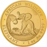 2024 Somalia Elephant 1 oz Gold Bullion Coin