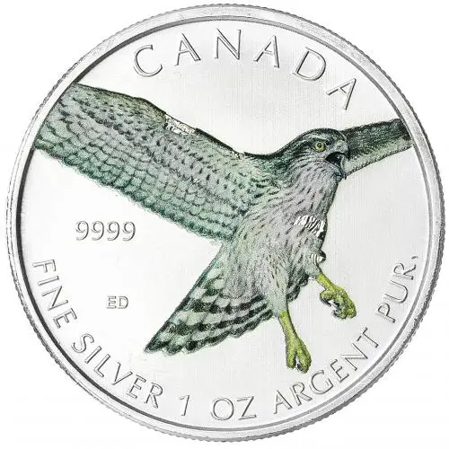 2015 1 oz Silver Canadian Red-Tailed Hawk Coloured Coin reverse