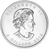 2015 1 oz Silver Canadian Red-Tailed Hawk Coloured Coin obverse