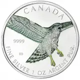 2015 1 oz Silver Canadian Red-Tailed Hawk Coloured Coin