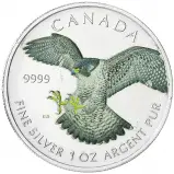 2014 Canadian Silver Falcon 1 oz Coloured Coin Pre-Owned