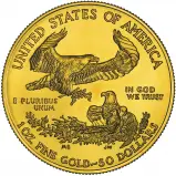 2008 Gold Eagle 1 oz Bullion Coin
