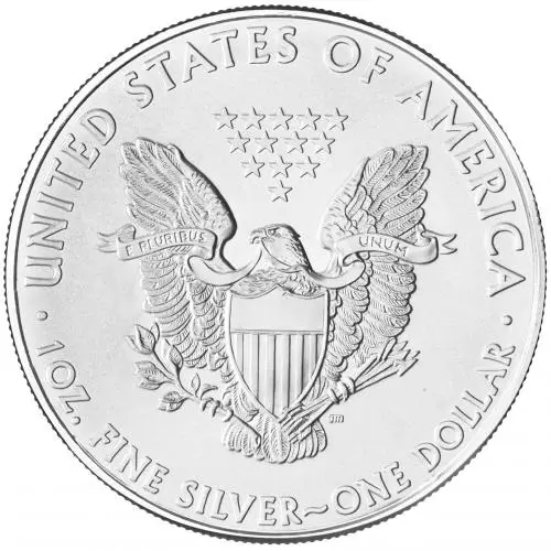 2010 Silver Bullion 1 Ounce Eagle Gilded Coin obverse