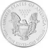 2010 Silver Bullion 1 Ounce Eagle Gilded Coin obverse