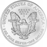 2007 Silver Bullion 1 Ounce Eagle Gilded Coin reverse