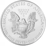 2008 Silver Bullion 1 Ounce Eagle Gilded  Coin  obverse