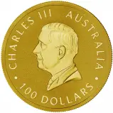 2024 Perth Mint's 125th Anniversary Australian 1 oz Gold Bullion Coin obverse chards image crop
