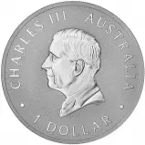 2024 Perth Mint's 125th Anniversary Australian 1 oz Silver Bullion Coin obverse chards image crop