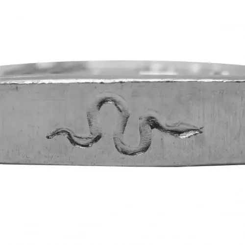 2013 Silver Bullion 1 Ounce Britannia Elizabeth II Snake Privy Mark  Coin Single United Kingdom The Royal Mint privy mark chards image crop