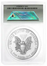 2021 Silver Bullion 1 Ounce Eagle $1  Coin Single United States of America ANACS MS-70 reverse