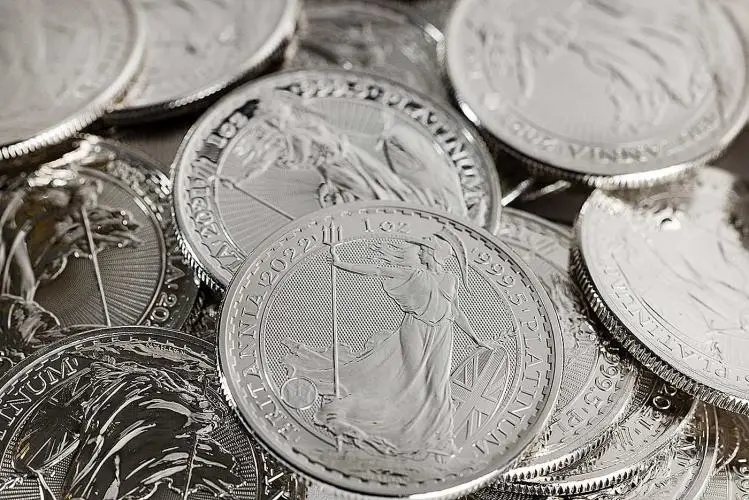 Best Value Britannia 1 oz Platinum Bullion Coin - Pre-Owned reverse display dates will vary random dates chards image reverse dates vary