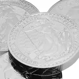 CGT Exempt 1 kg Silver Coins - New reverse chards cropped image