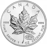 2000 Canadian Maple Leaf 1 oz Silver Bullion Coin Firework Privy Mark