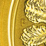 2011 Gold Bullion 1 Ounce Lunar Year of the Rabbit  Coin Single Australia Perth Mint p mint mark
