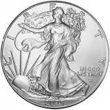 2025 American Silver Eagle 1 oz Bullion Coin obverse