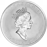 2002 Silver Uncirculated 1 Ounce Maple Horse Privy Coin obverse