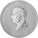 2025 Australian Koala 1 oz Silver Bullion Coin obverse